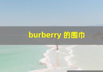 burberry 的围巾